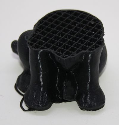 Dog Aborted1 IMG 2761.JPG