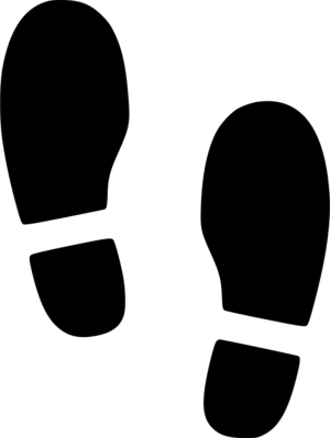 StepIcon.png